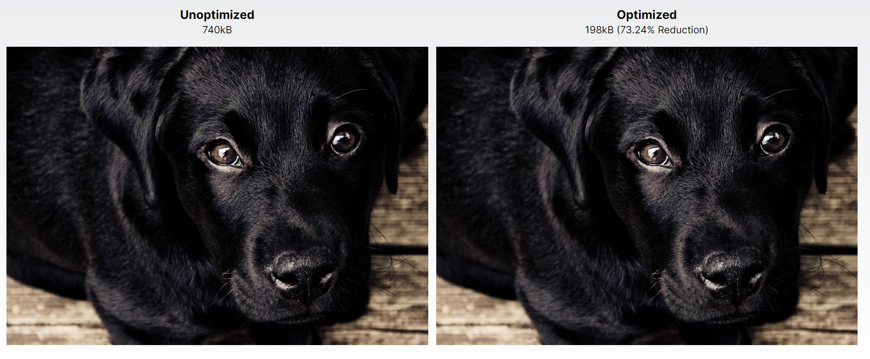 Side-by-side comparison of unoptimized versus optimized photo of a black puppy.