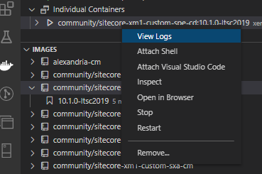 Screenshot of the container logs in Sitecore Docker Desktop