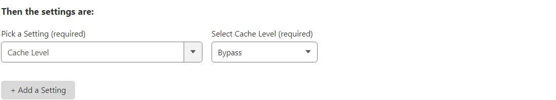 Select Cloudflare Cache Level setting at Bypass in Page Rule set up.