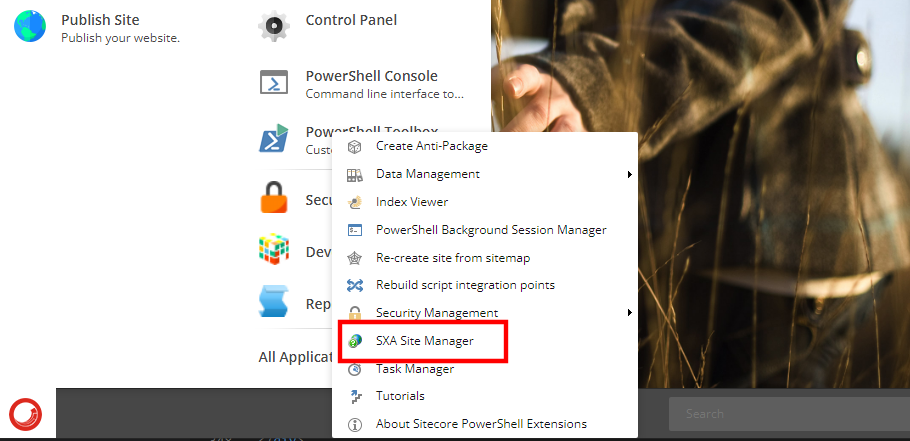 Opening the SXA Site Manager in Sitecore