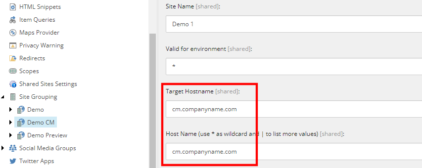 Screenshot of the Target Hostname field in Sitecore SXA