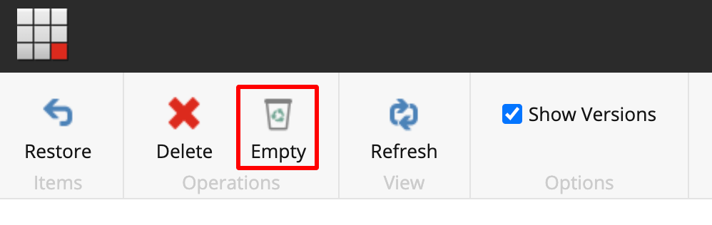 Empty recycle bin Sitecore screenshot